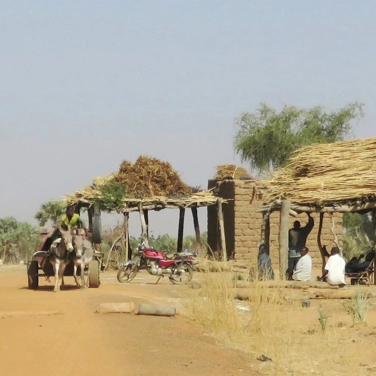 Fulani village